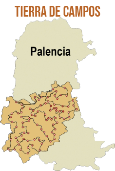 Tierra de Campos